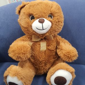 Soft Toy – Plush Brown Teddy Bear